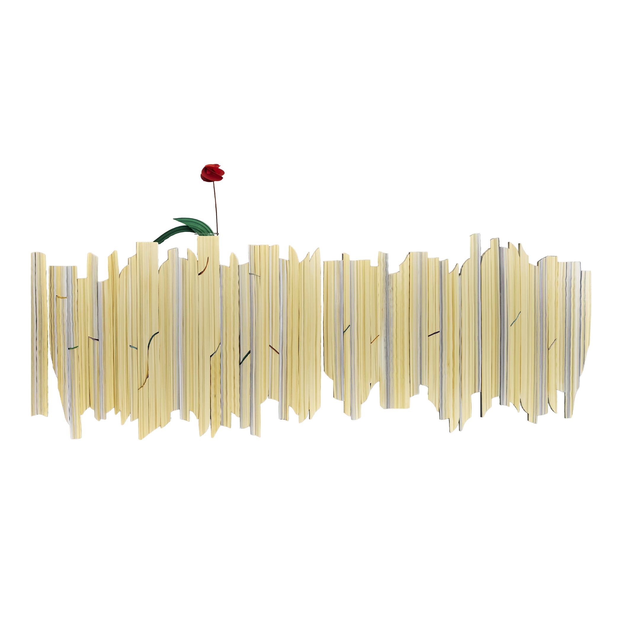 console-papuli