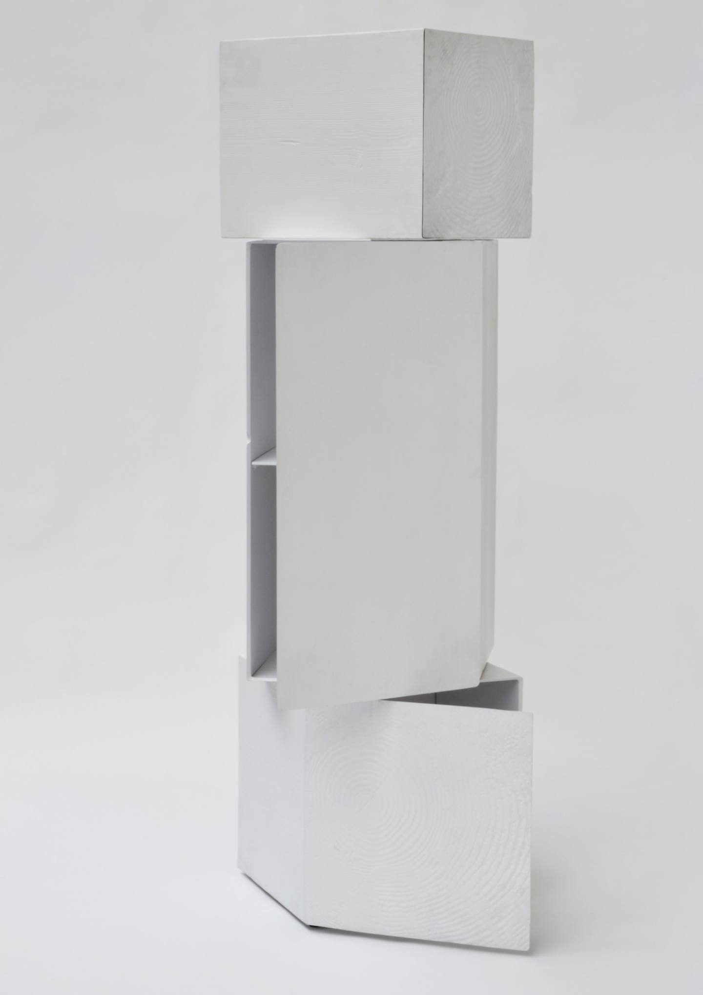 Tronchi-cabinet-Andrea-Salvetti (4)