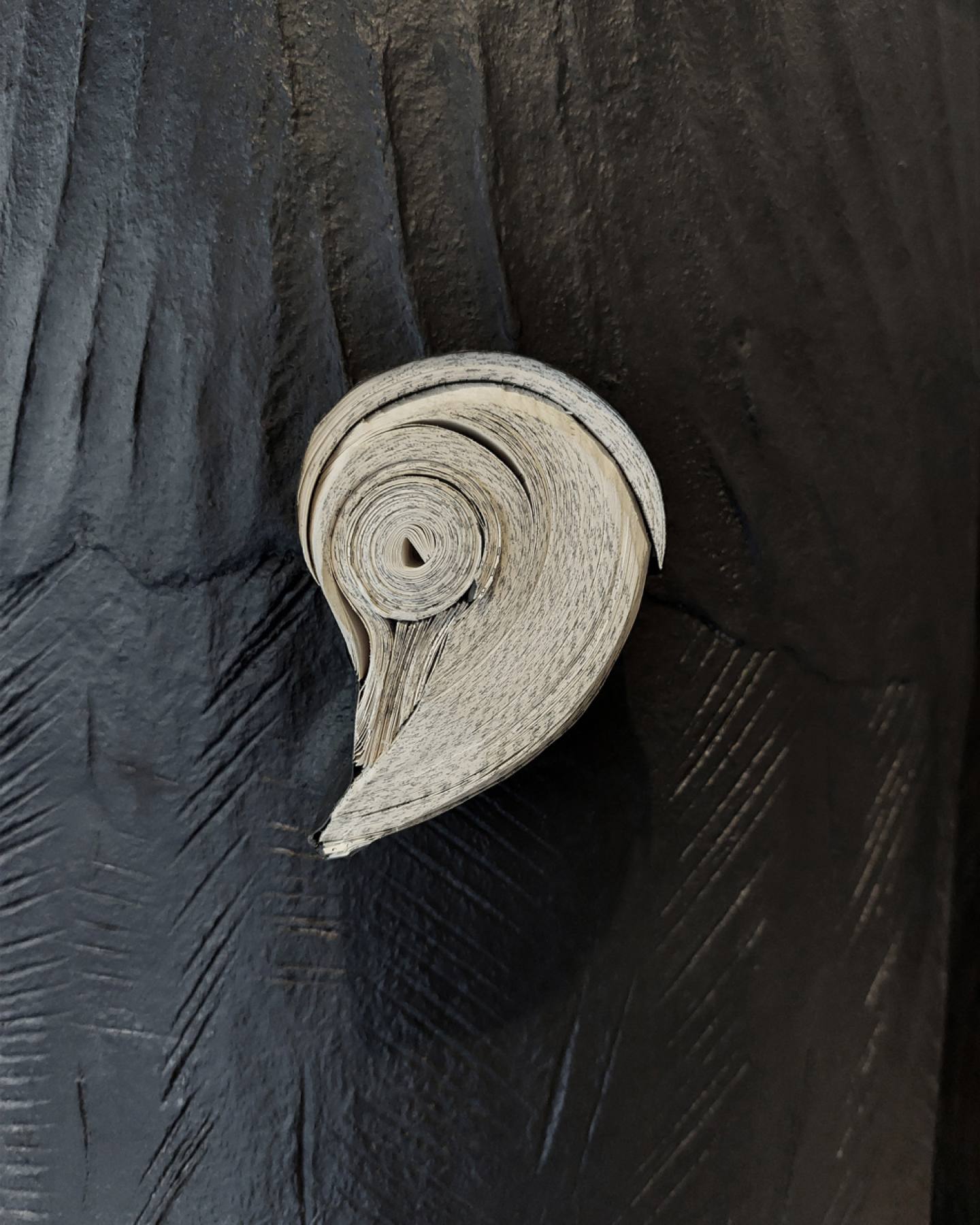 Fragmento-divider-Daniele-Papuli (5)