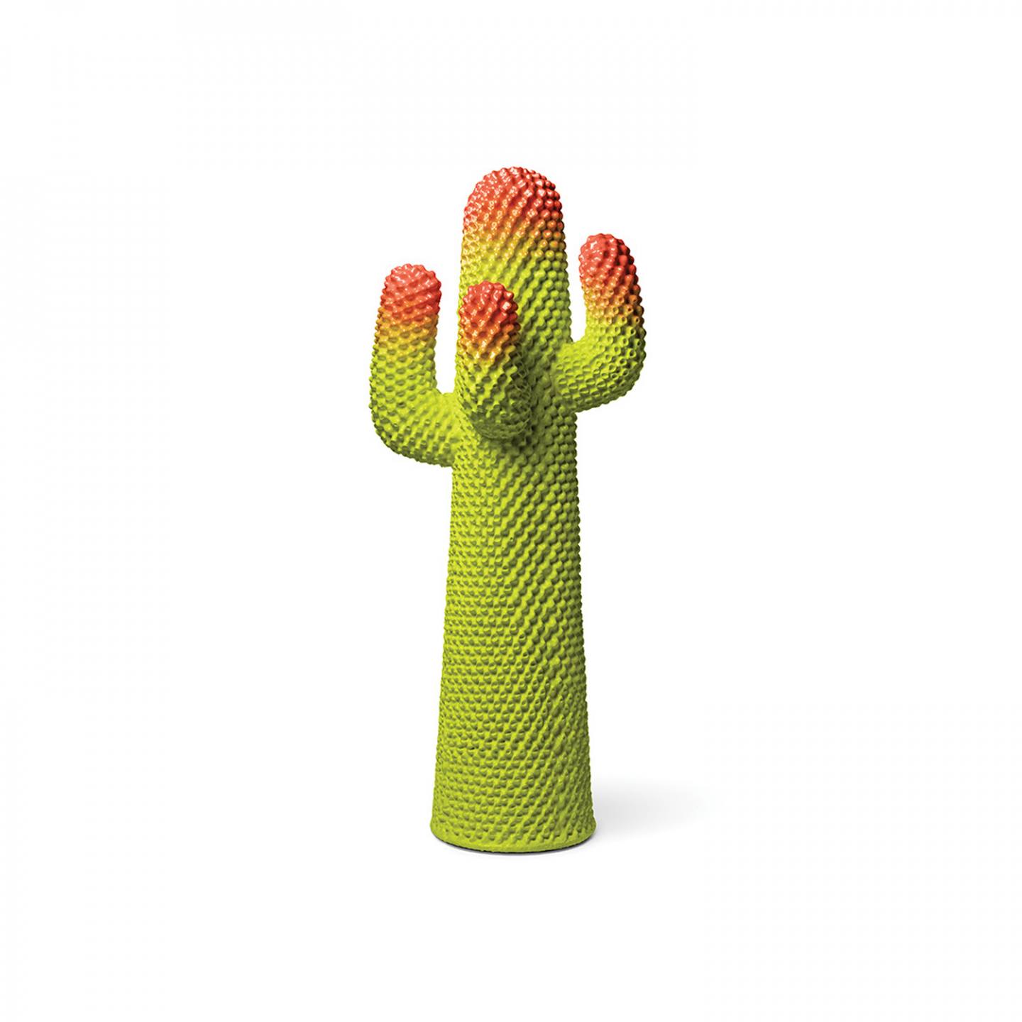 cactus (5)