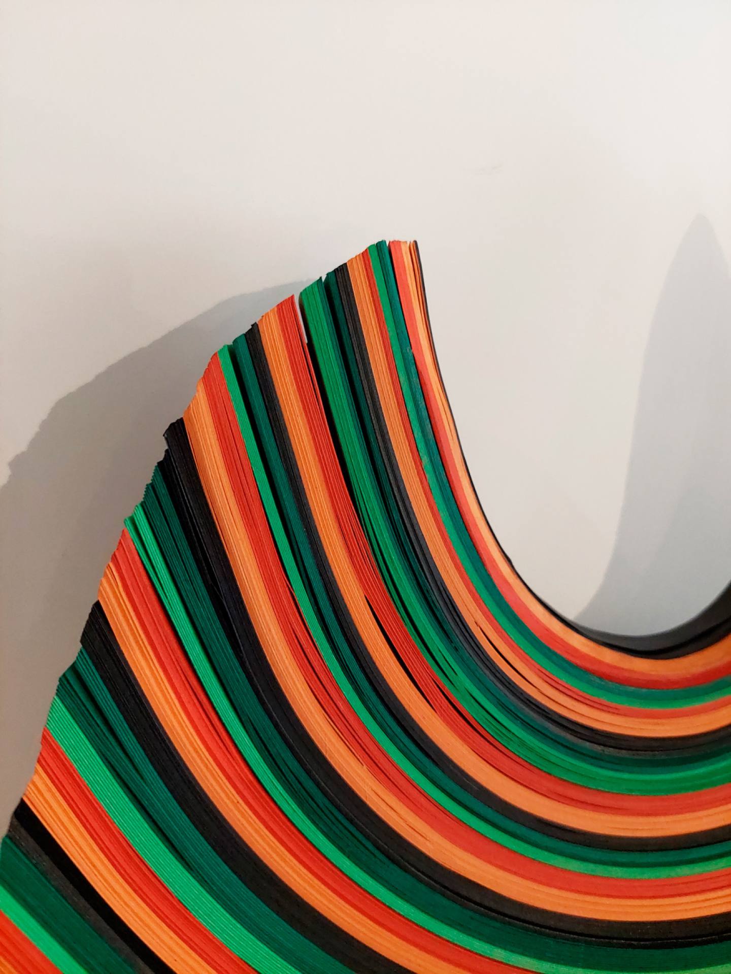 Dendro-bowl-2026-Daniele-Papuli (8)