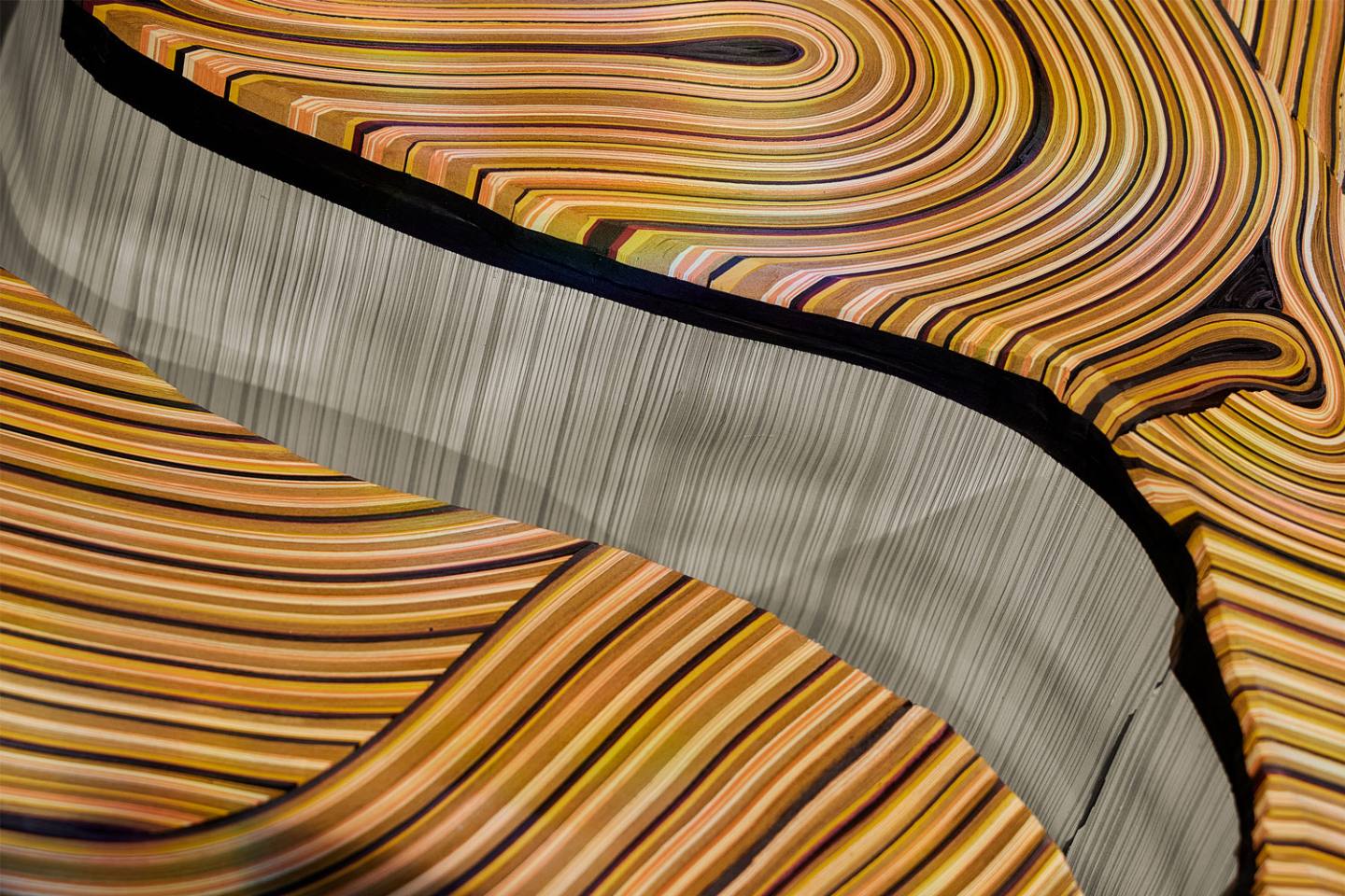 Cartodendrum-low-table-Daniele-Papuli (2)