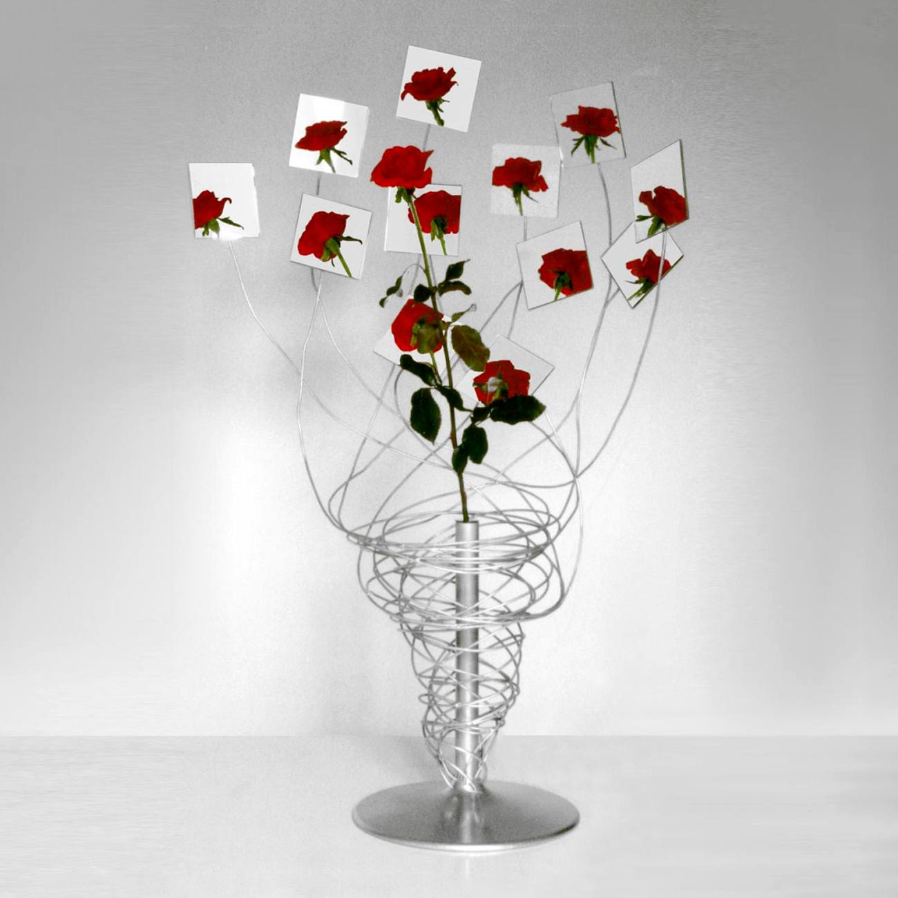 Rosa-rosae-vase-Claudio-Bitetti (1)