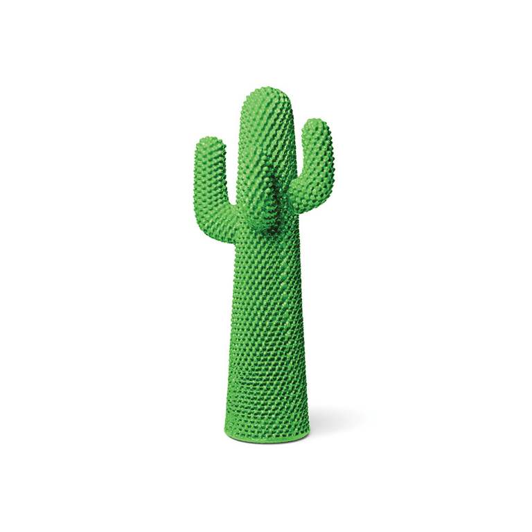 cactus (1)