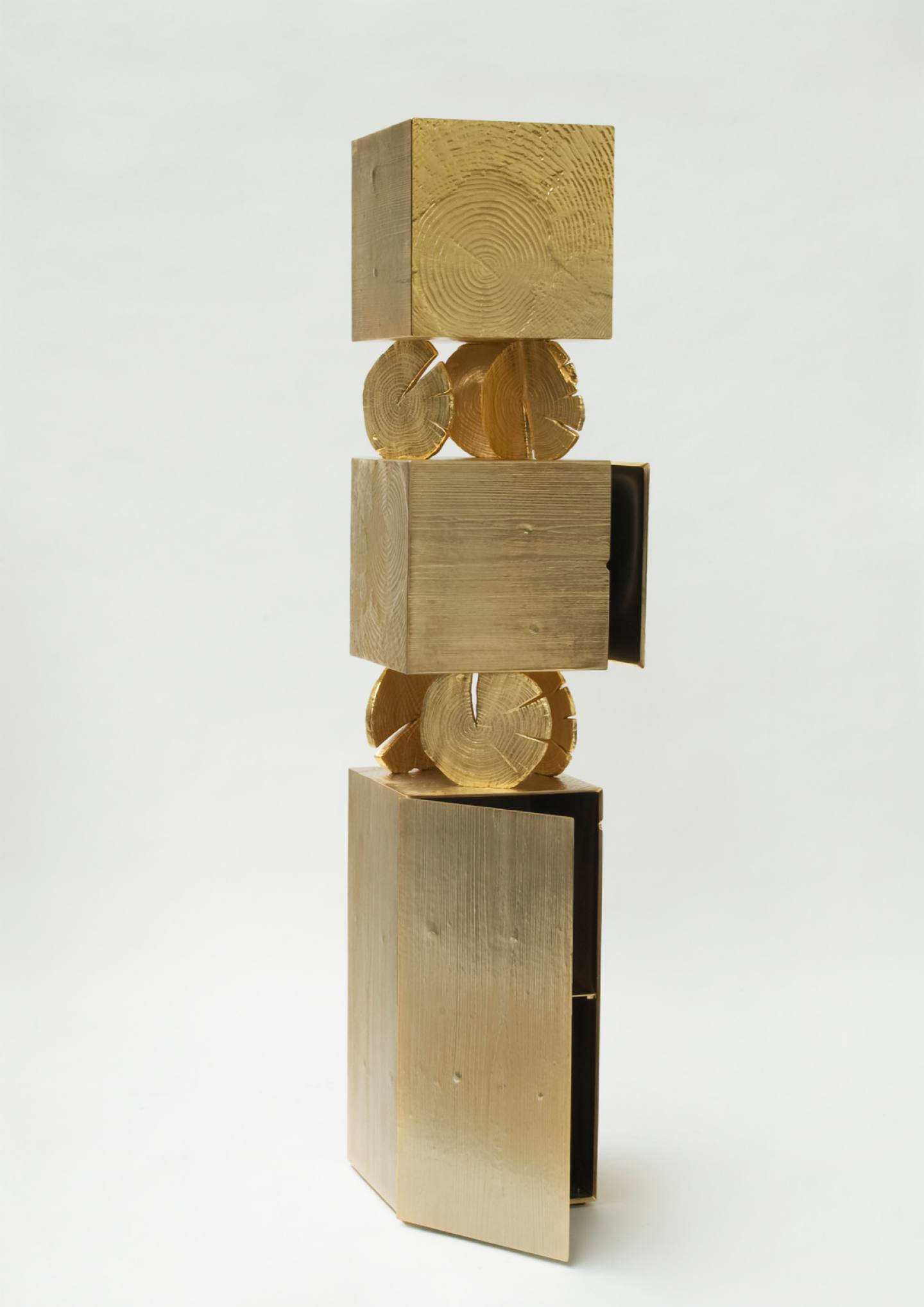 Tronchi-cabinet-Andrea-Salvetti (7)