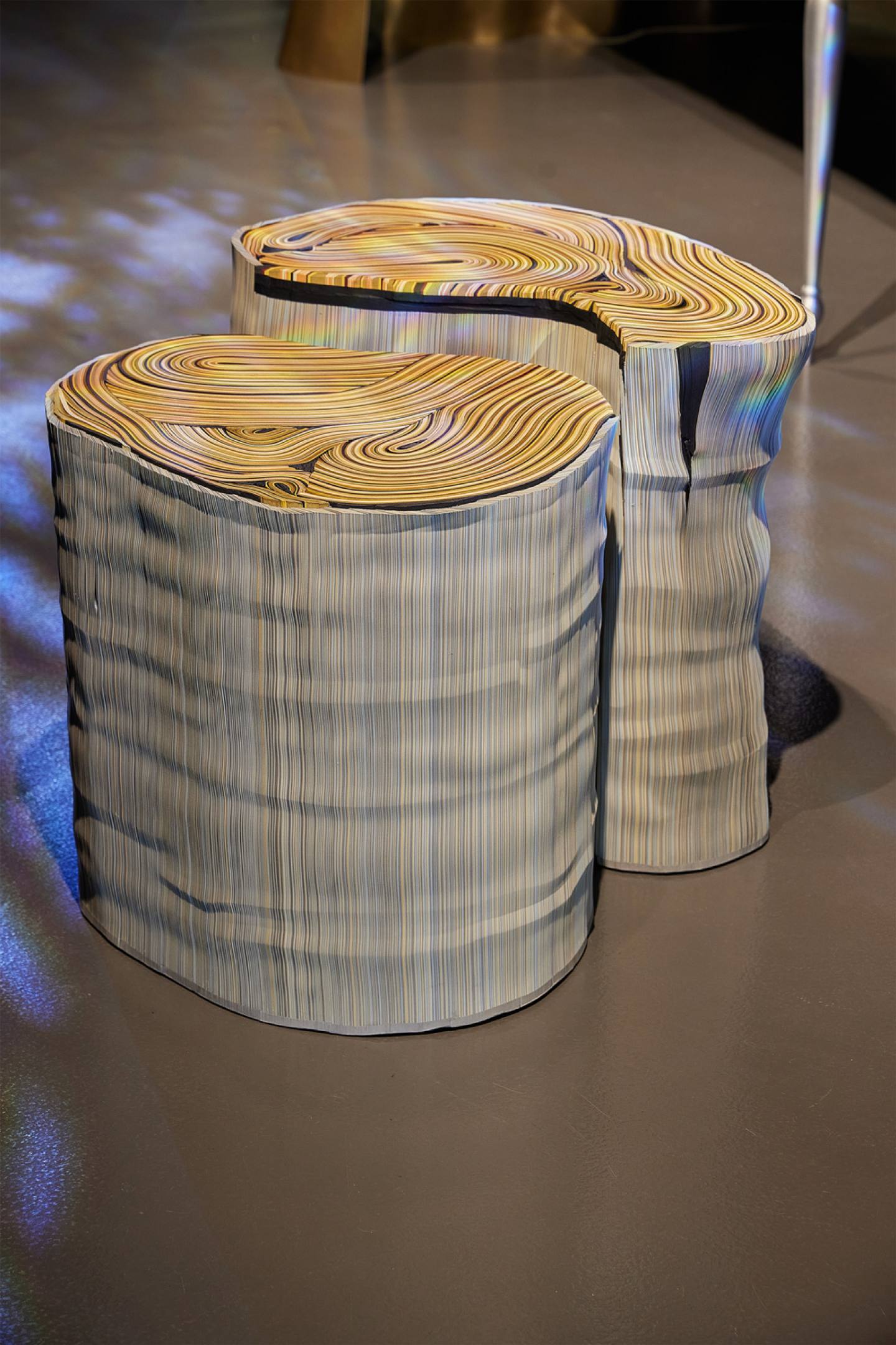 Cartodendrum-low-table-Daniele-Papuli (5)