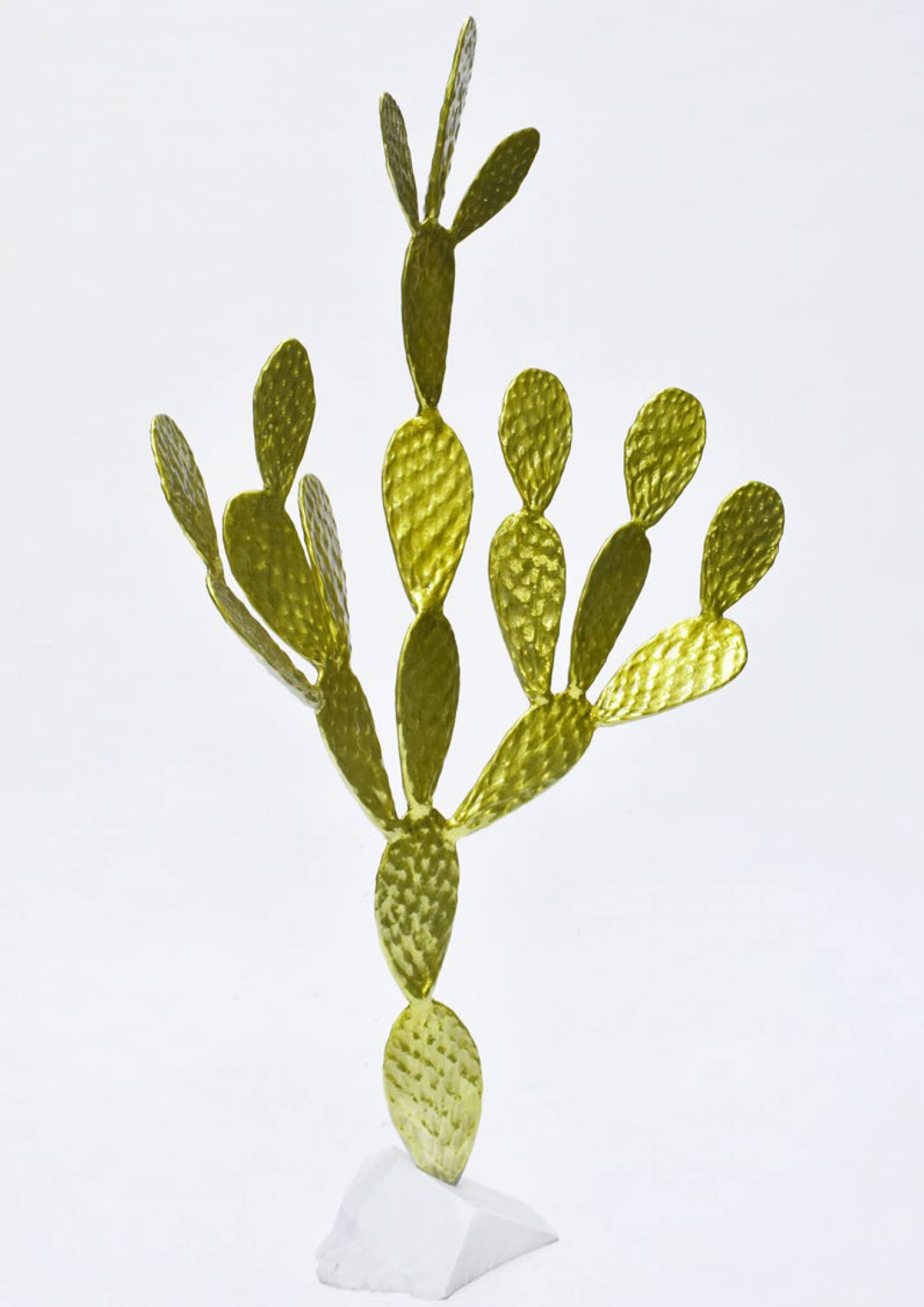 cactus-salvetti-verde