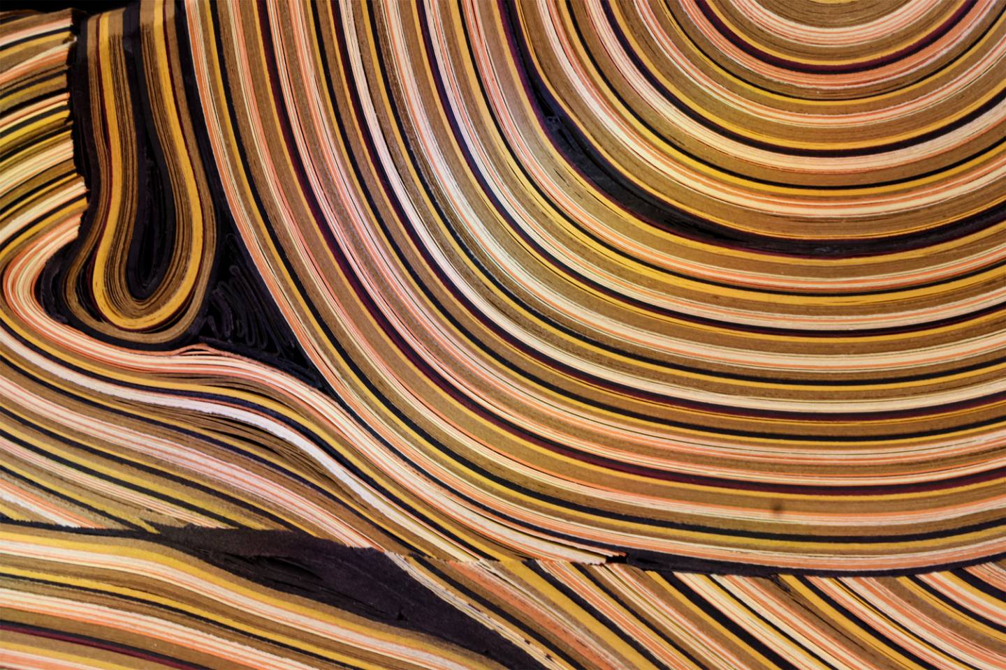 Cartodendrum-low-table-Daniele-Papuli (4)