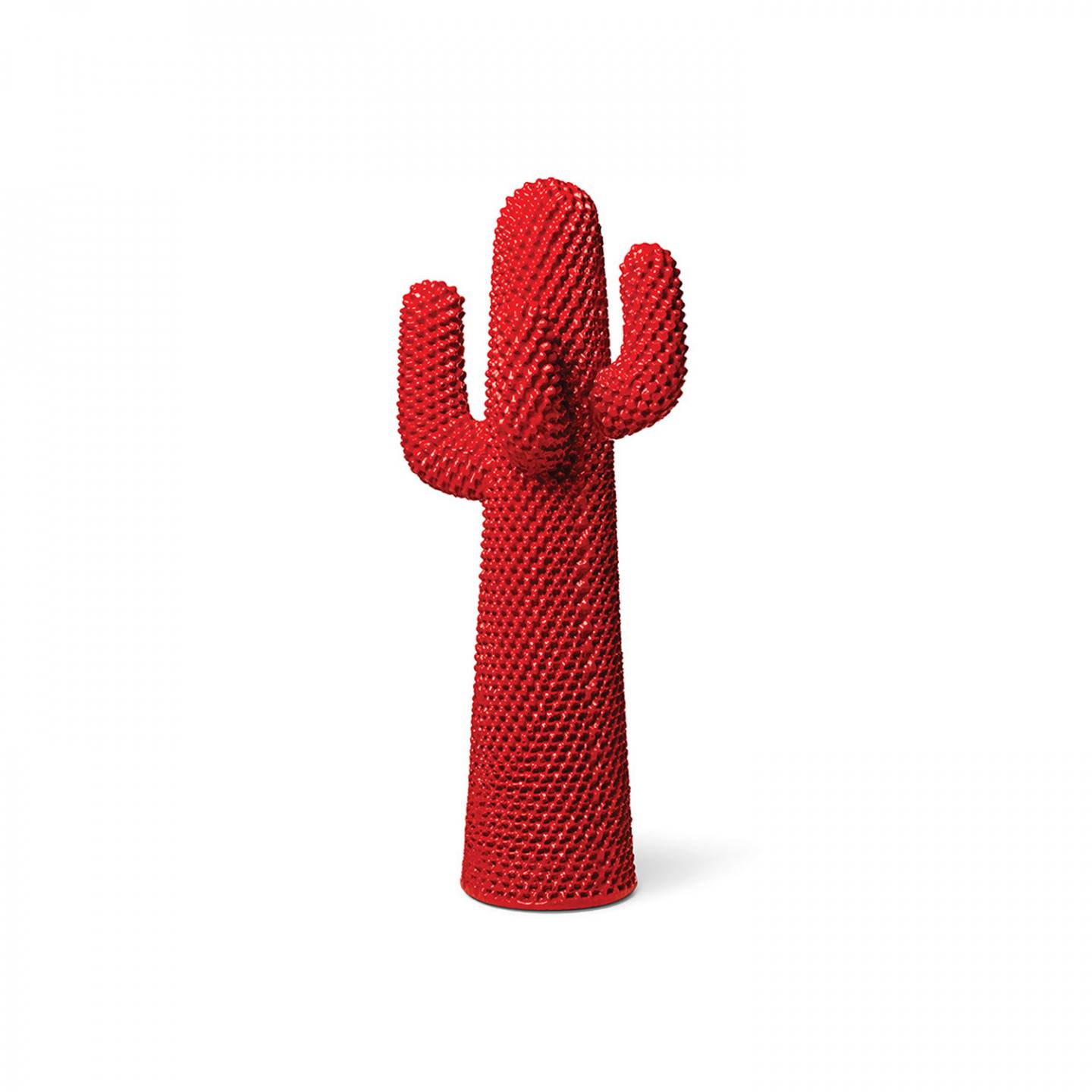 cactus (3)