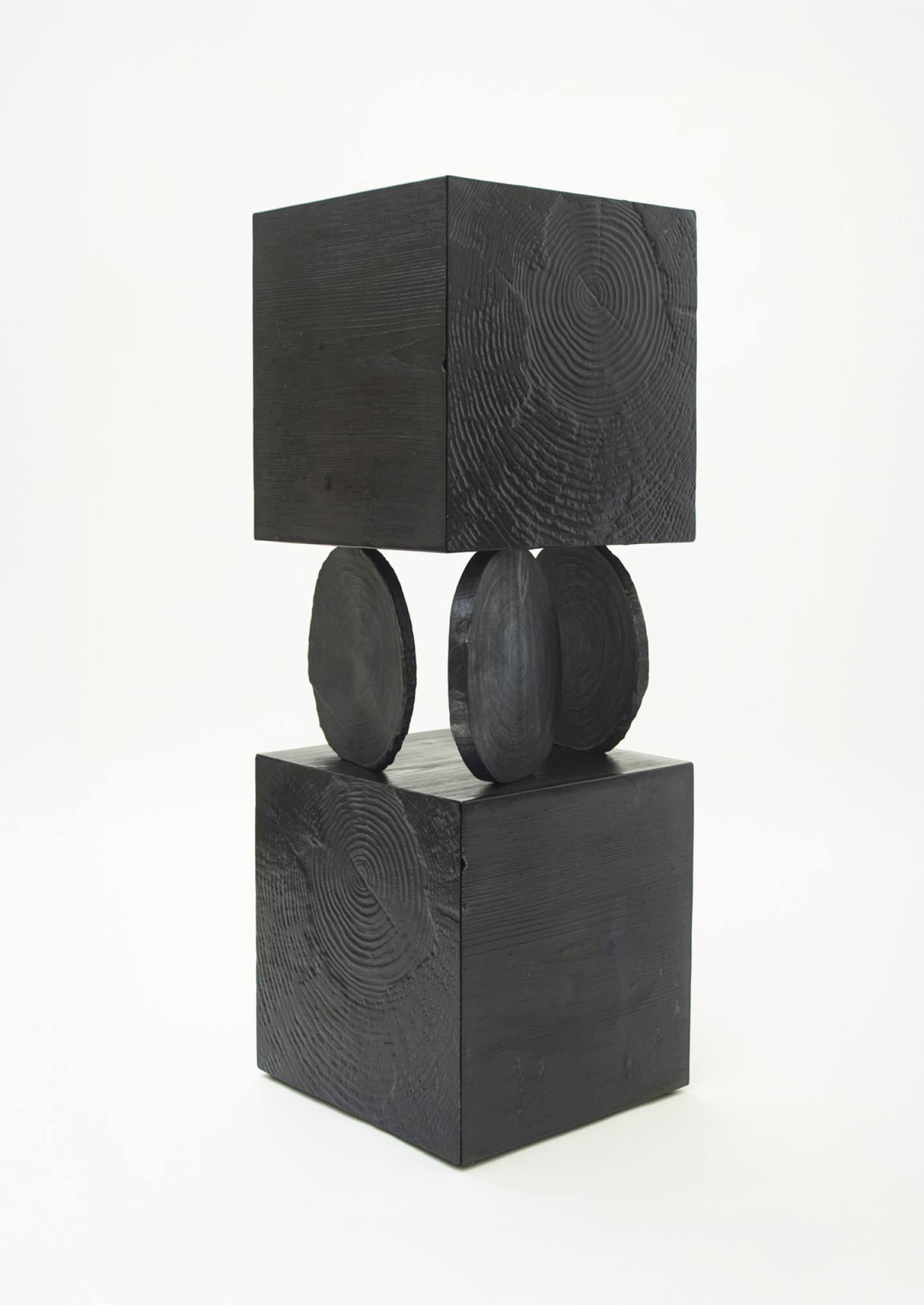 Tronchi-cabinet-Andrea-Salvetti (3)